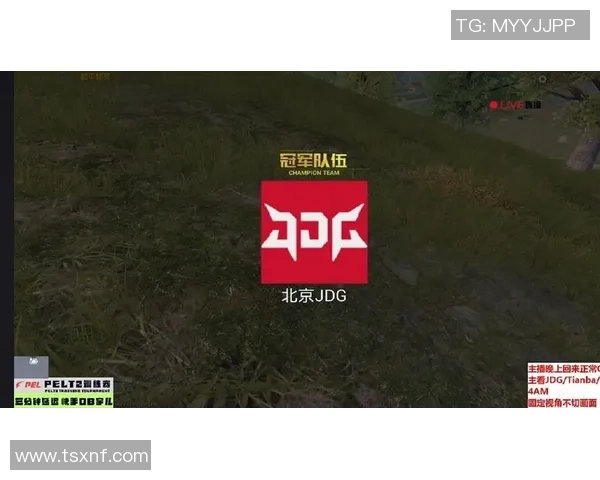 和平精英热议JDG战队配合引发争议背后的深层原因与影响分析